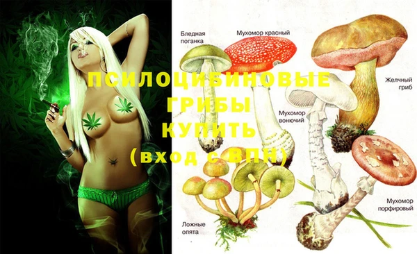 стафф Балабаново
