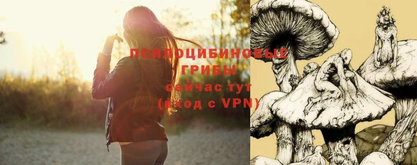 mdpv Баксан