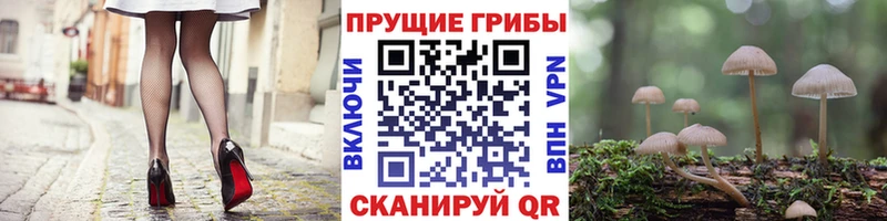 Галлюциногенные грибы ЛСД дарнет шоп Ленск
